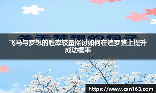 飞马与梦想的胜率较量探讨如何在追梦路上提升成功概率
